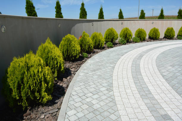 Best Driveway Pavers Near Me  in Ball Pond, CT