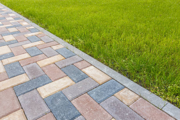 Best Local Driveway Pavers  in Ball Pond, CT
